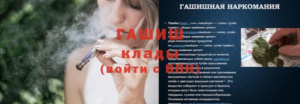 эйфоретик Бородино
