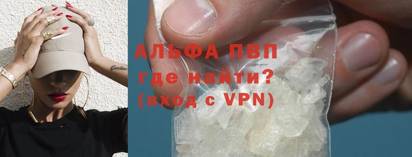 эйфоретик Бородино