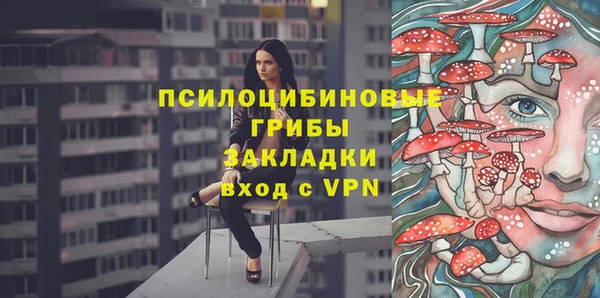 эйфоретик Бородино