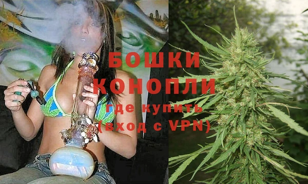 стаф Бугульма