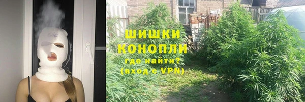 стаф Бугульма