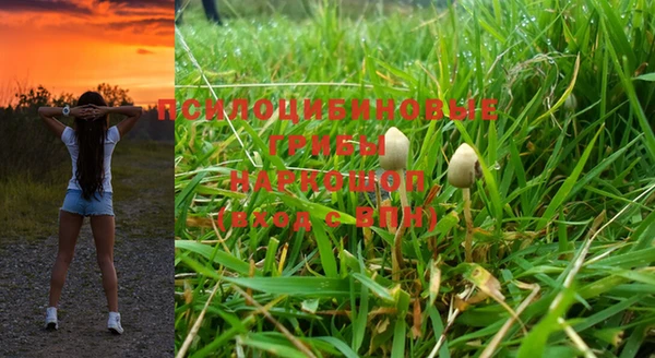 стаф Бугульма
