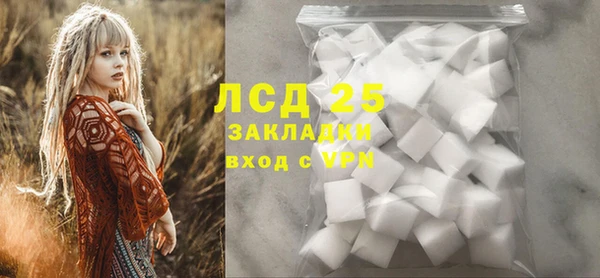 эйфоретик Бородино