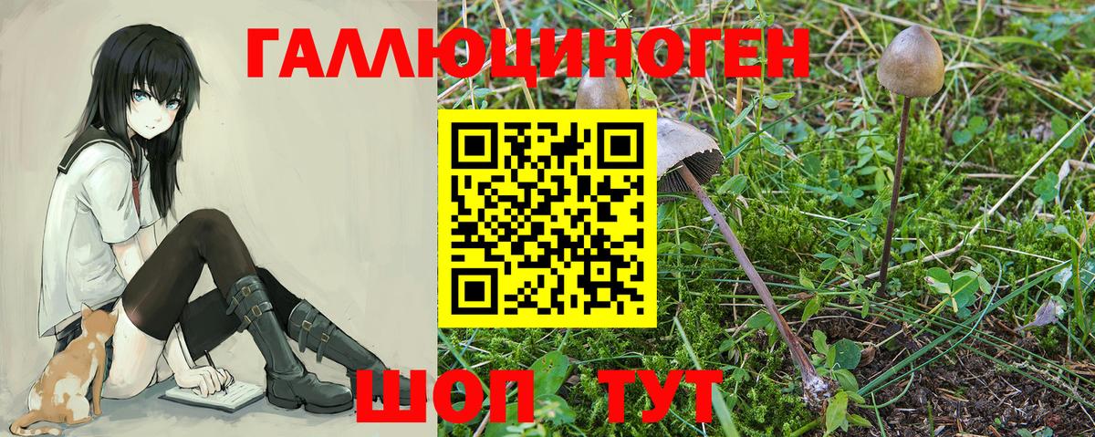 Галлюциногенные грибы ЛСД  Вход с VPN  Гулькевичи 