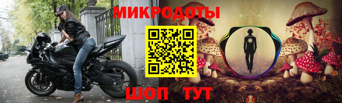 Галлюциногенные грибы Psilocybine cubensis Гулькевичи